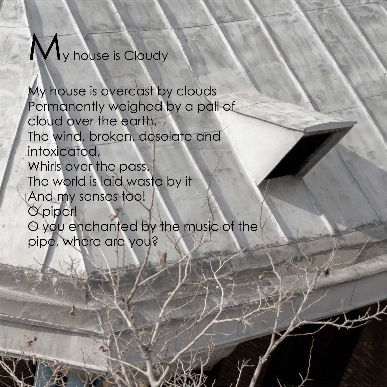 The Name of This Alley was Nima