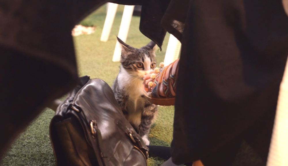 The Finnish Villas Issue Release Ceremony 