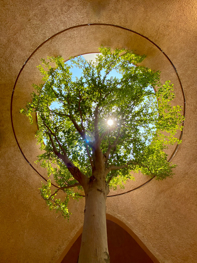 Austrian pavilion EXPO Dubai