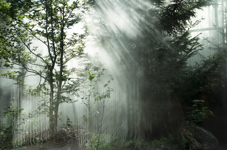 Gruene Erde Breathing Headquarters 