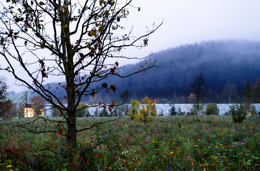 Gruene Erde Breathing Headquarters 