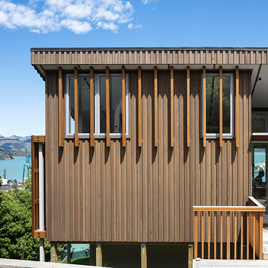 House with Villa Silhouette