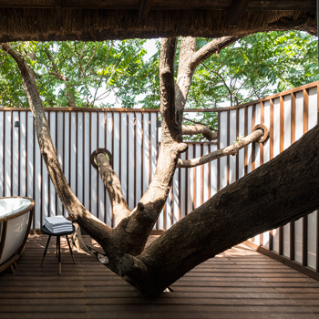 Tree Villa at Forest Hills